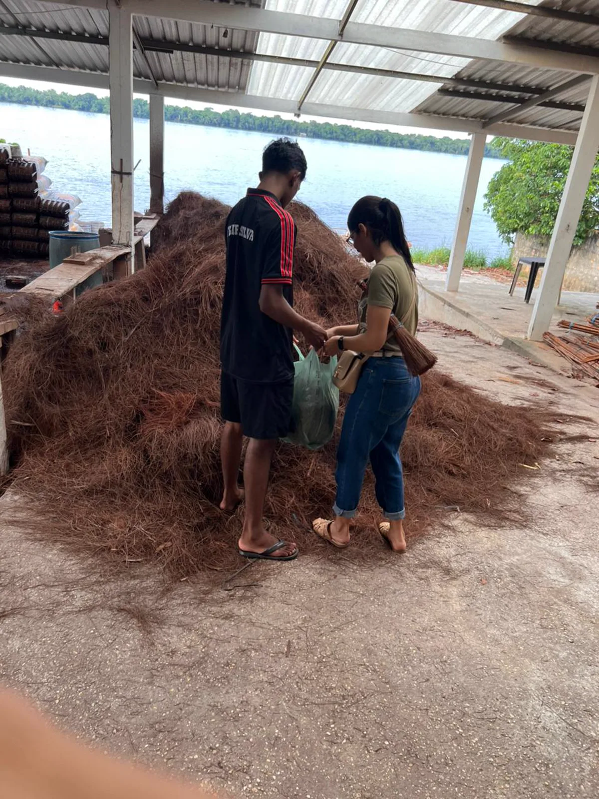 Estudantes coletando fibra de piaçava às margens do Rio Negro